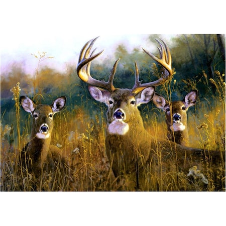 H2H DM 53 door mat size18 X 26 H22548328